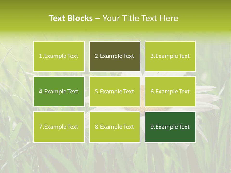 Macro Light Meadow PowerPoint Template