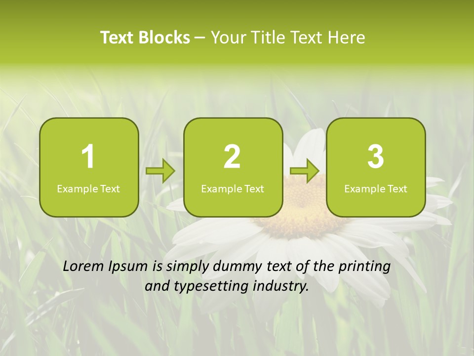 Macro Light Meadow PowerPoint Template
