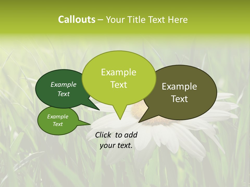 Macro Light Meadow PowerPoint Template