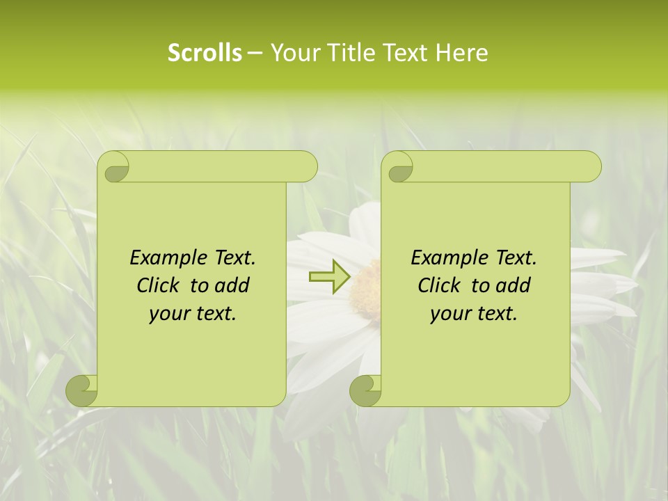 Macro Light Meadow PowerPoint Template