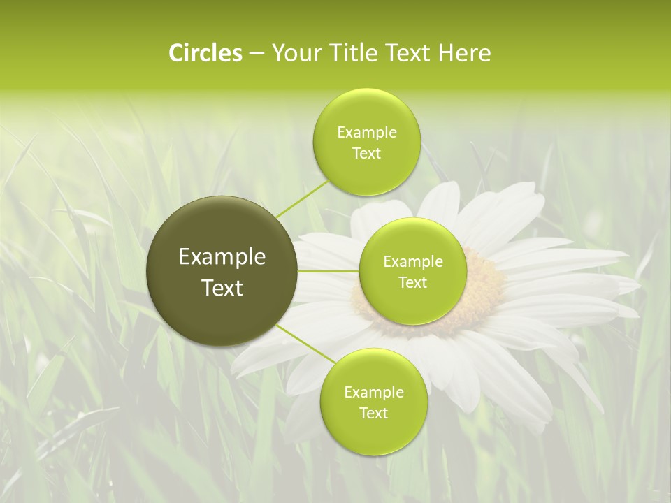 Macro Light Meadow PowerPoint Template