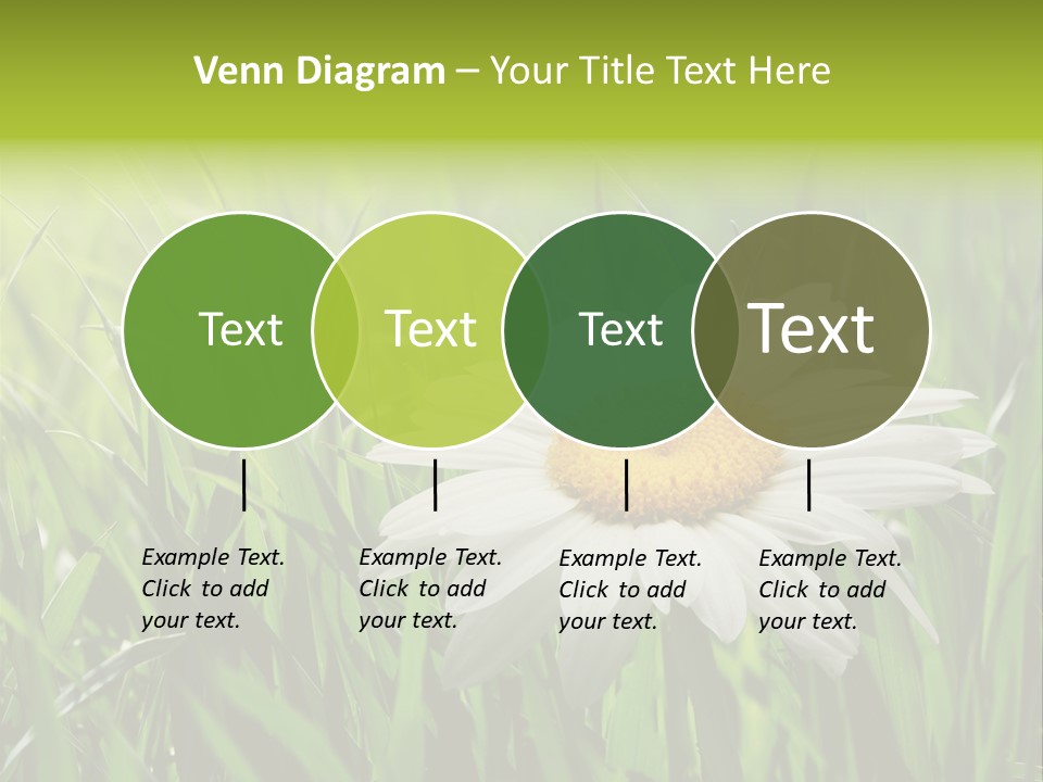 Macro Light Meadow PowerPoint Template