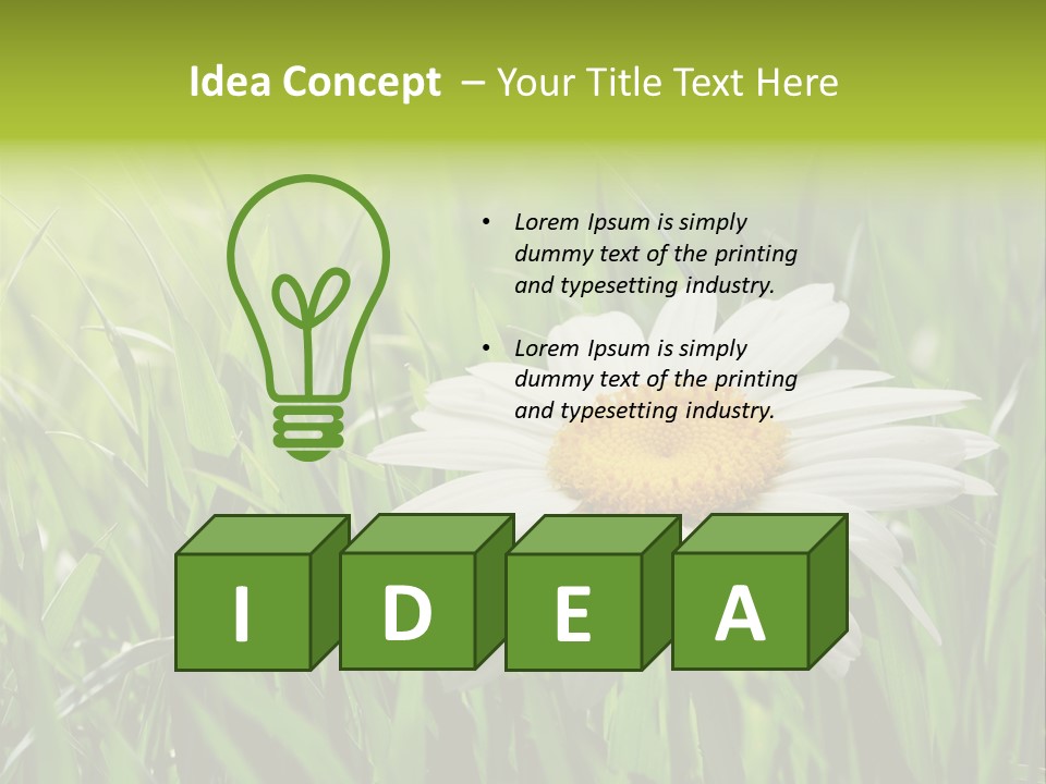 Macro Light Meadow PowerPoint Template