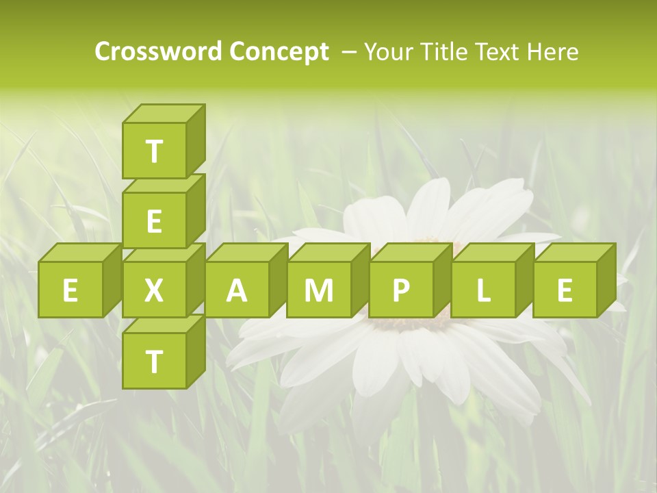 Macro Light Meadow PowerPoint Template