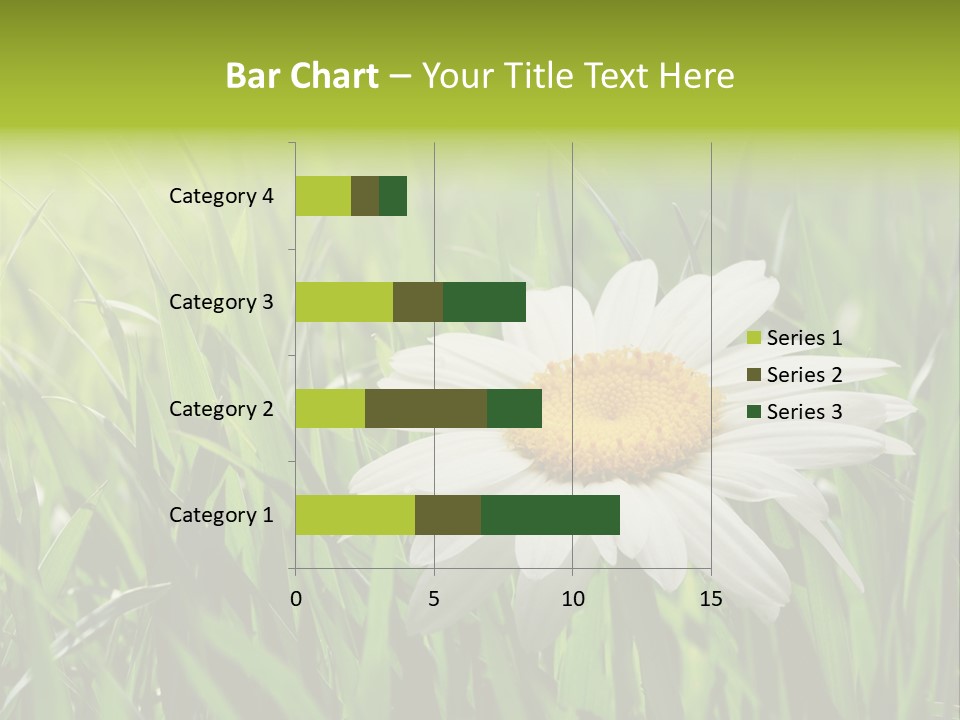Macro Light Meadow PowerPoint Template