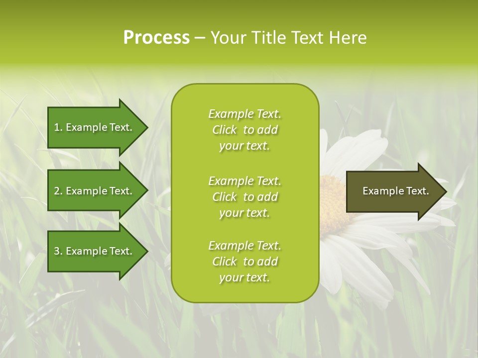 Macro Light Meadow PowerPoint Template