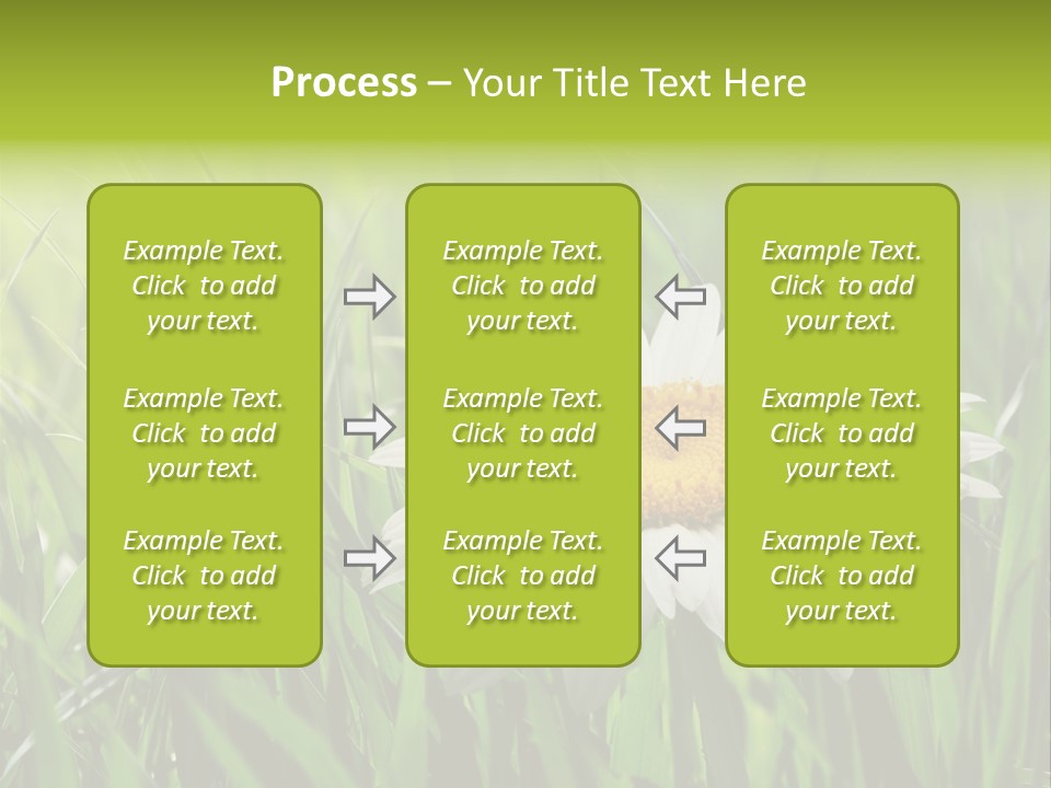 Macro Light Meadow PowerPoint Template