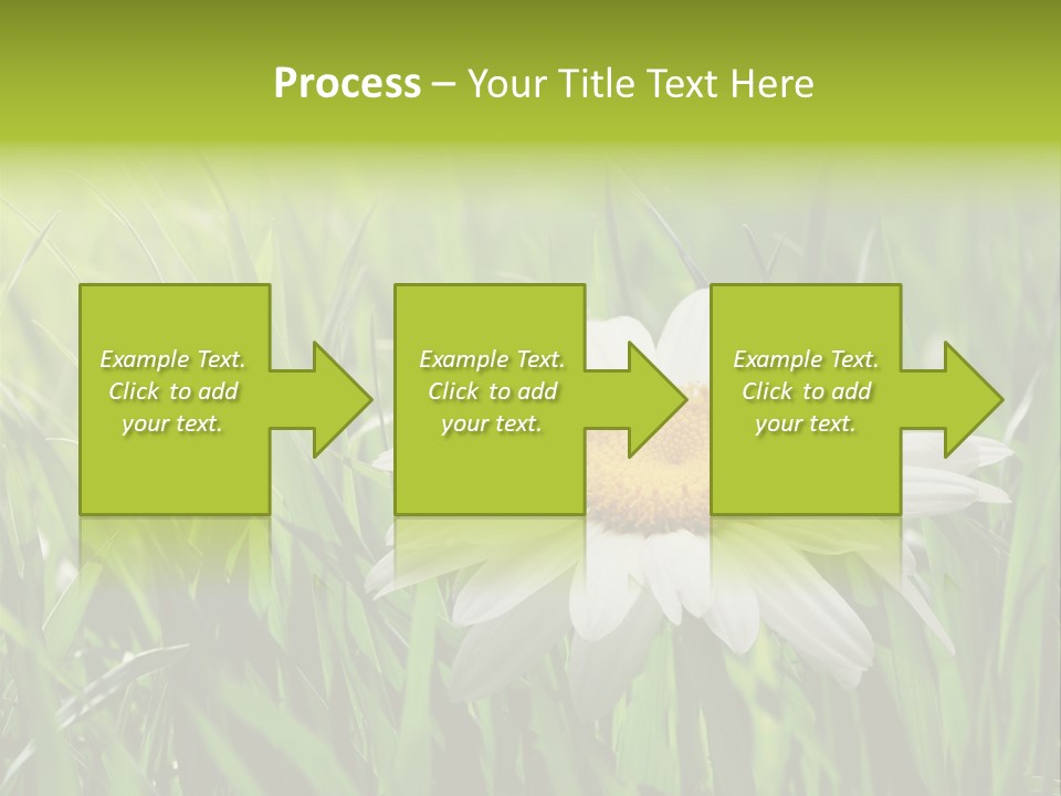 Macro Light Meadow PowerPoint Template