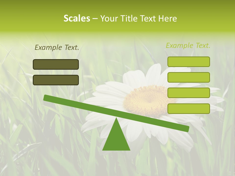 Macro Light Meadow PowerPoint Template