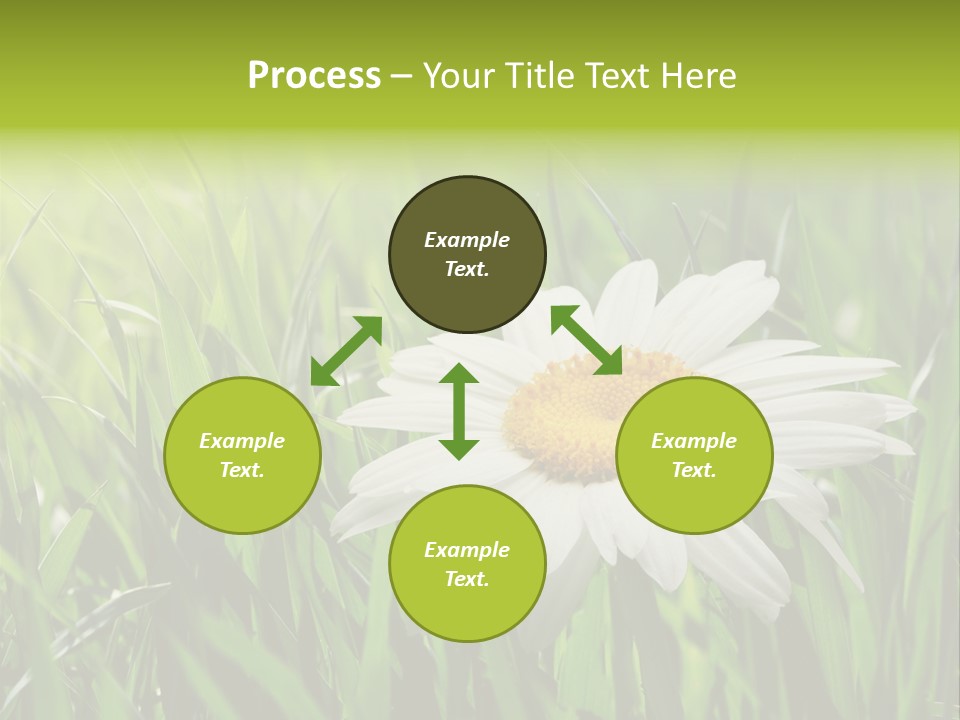 Macro Light Meadow PowerPoint Template