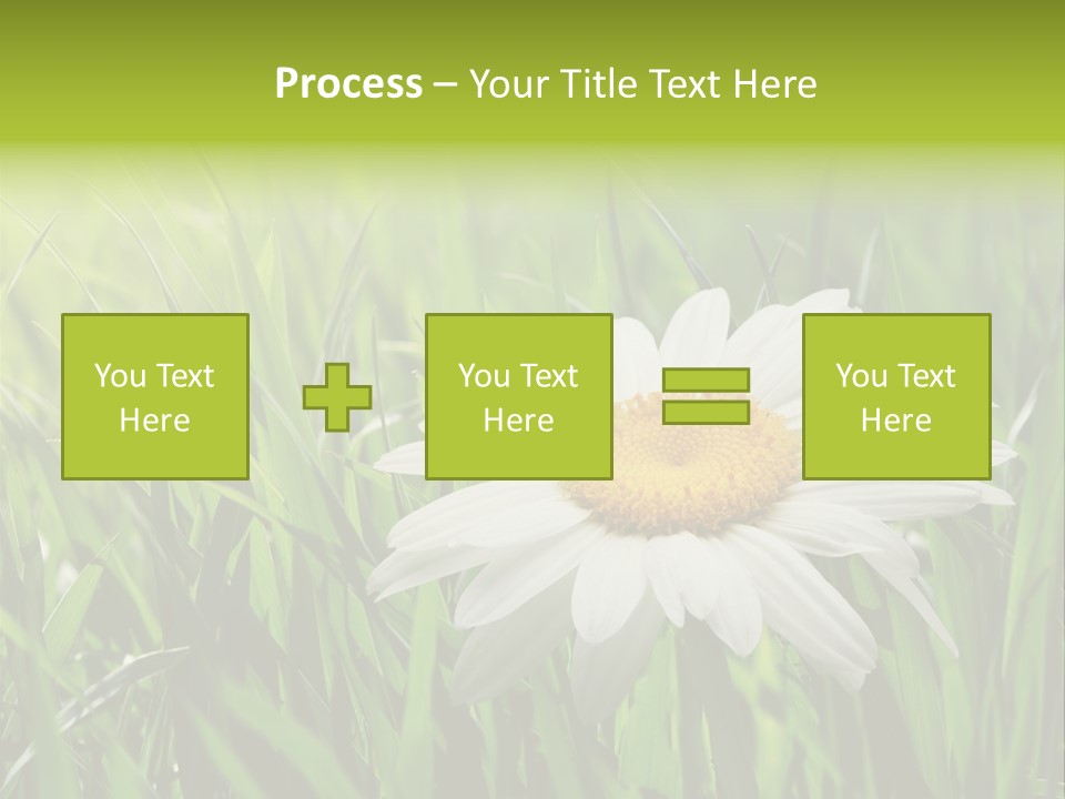 Macro Light Meadow PowerPoint Template