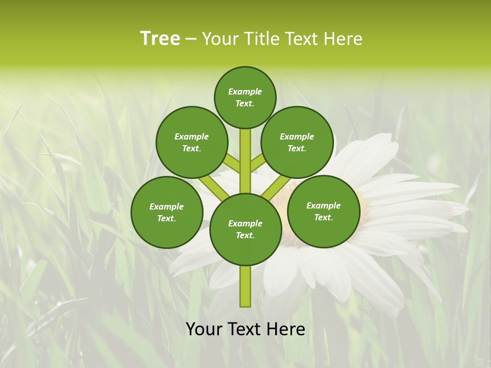 Macro Light Meadow PowerPoint Template