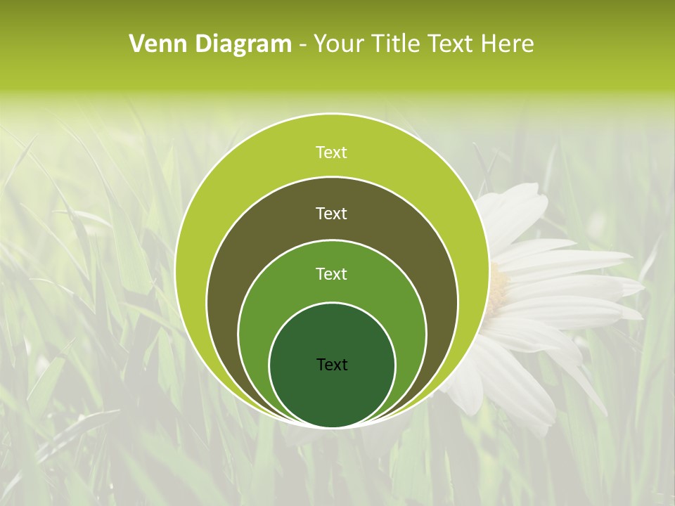 Macro Light Meadow PowerPoint Template
