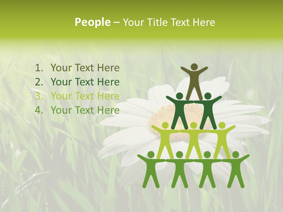 Macro Light Meadow PowerPoint Template