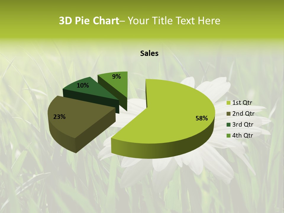 Macro Light Meadow PowerPoint Template