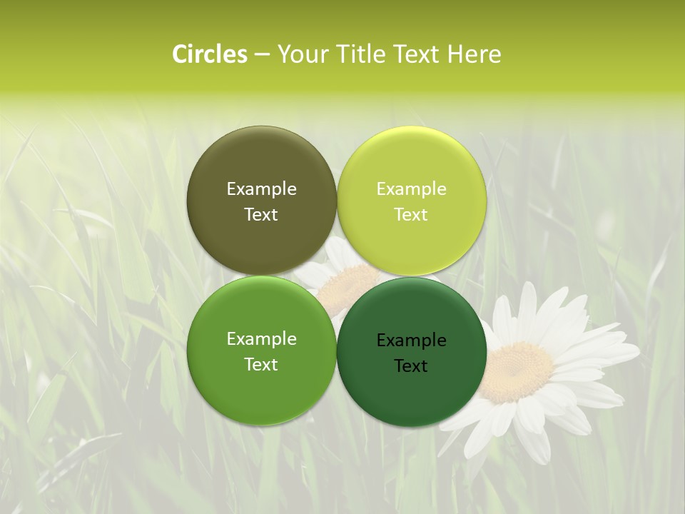 Bud Meadow Medicine PowerPoint Template