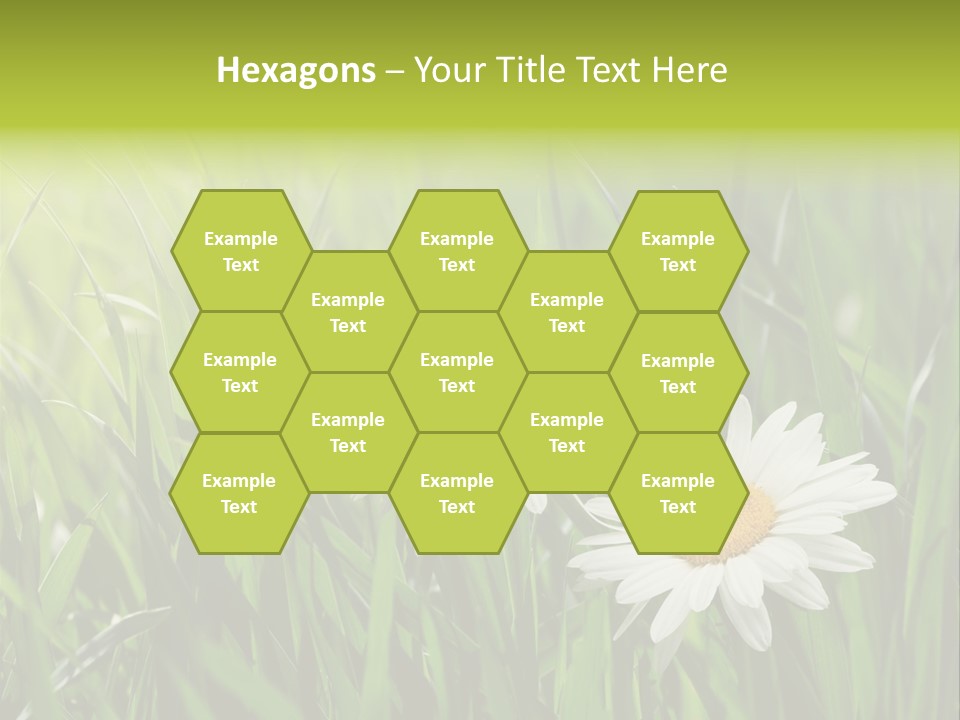 Bud Meadow Medicine PowerPoint Template