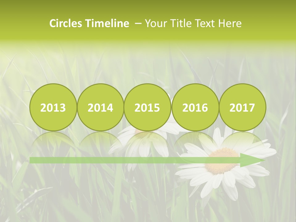 Bud Meadow Medicine PowerPoint Template