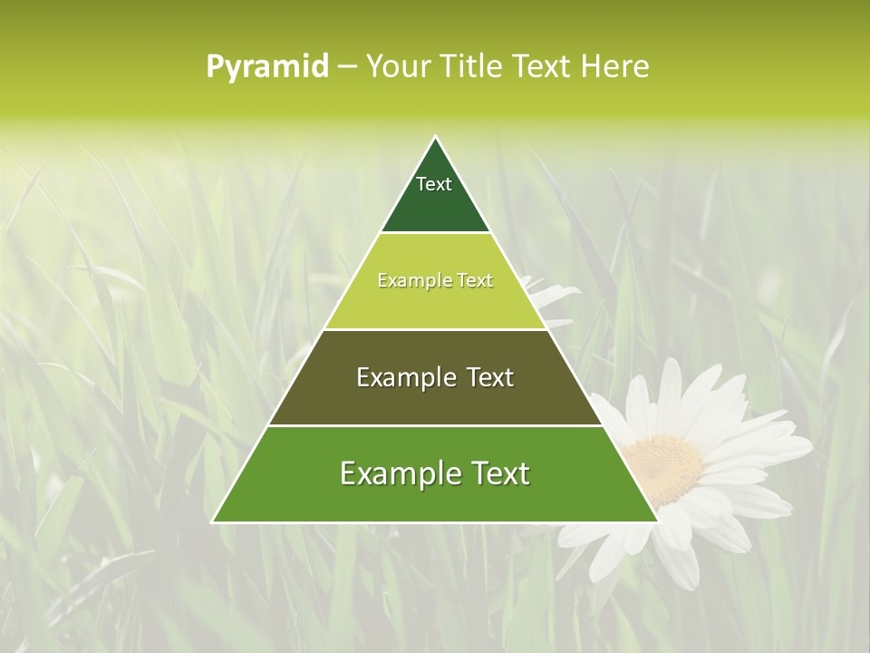 Bud Meadow Medicine PowerPoint Template