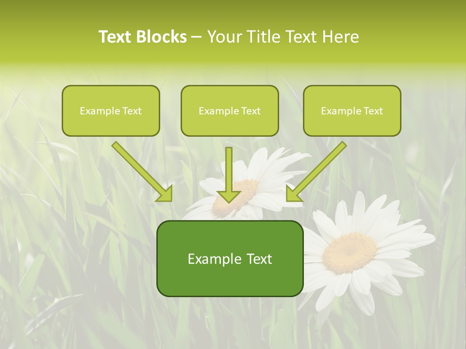Bud Meadow Medicine PowerPoint Template