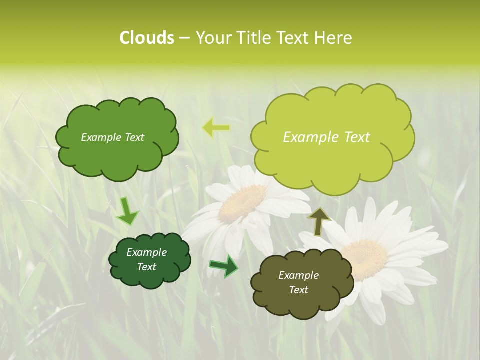 Bud Meadow Medicine PowerPoint Template