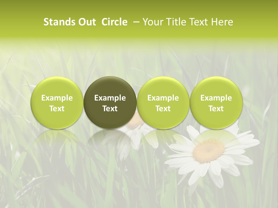 Bud Meadow Medicine PowerPoint Template