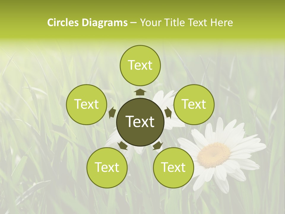 Bud Meadow Medicine PowerPoint Template