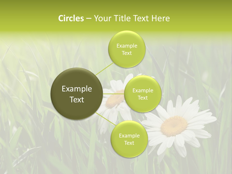 Bud Meadow Medicine PowerPoint Template