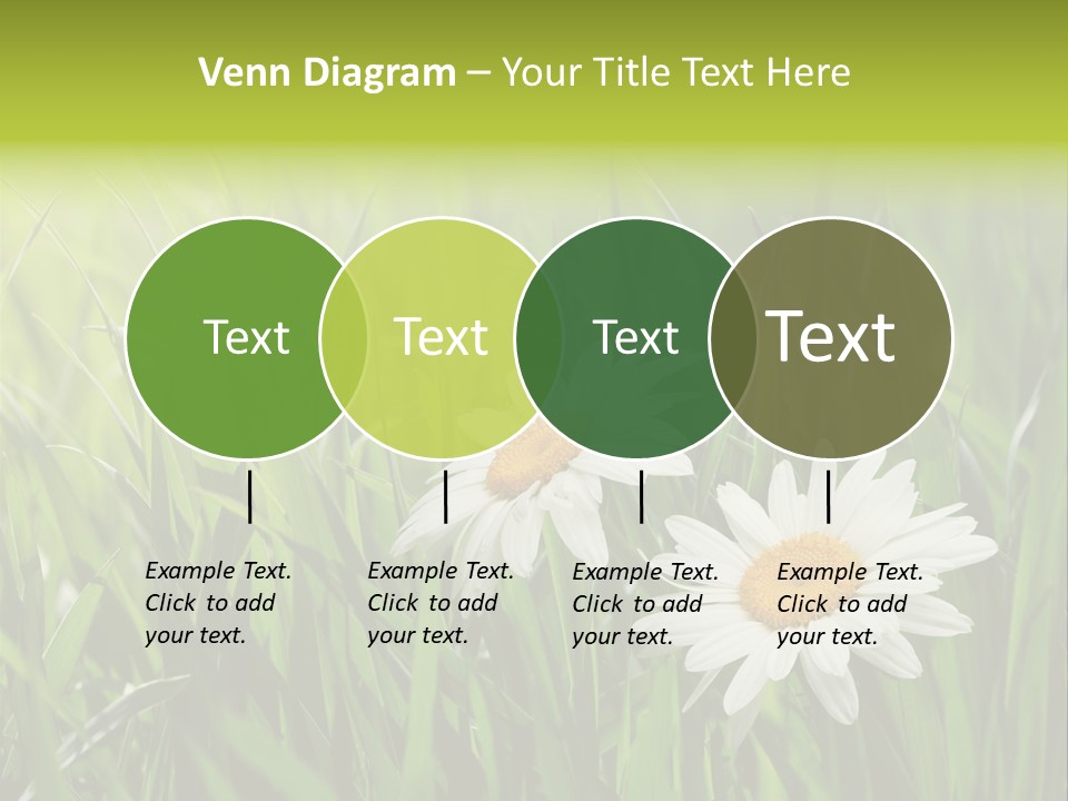 Bud Meadow Medicine PowerPoint Template