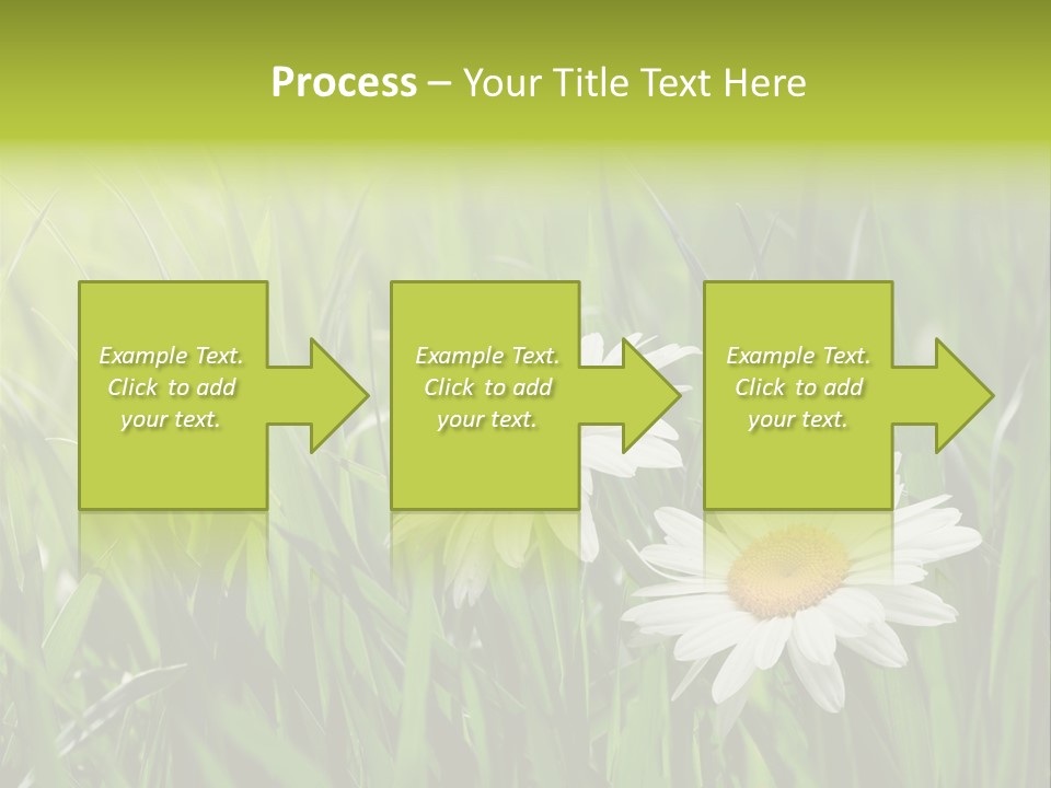 Bud Meadow Medicine PowerPoint Template