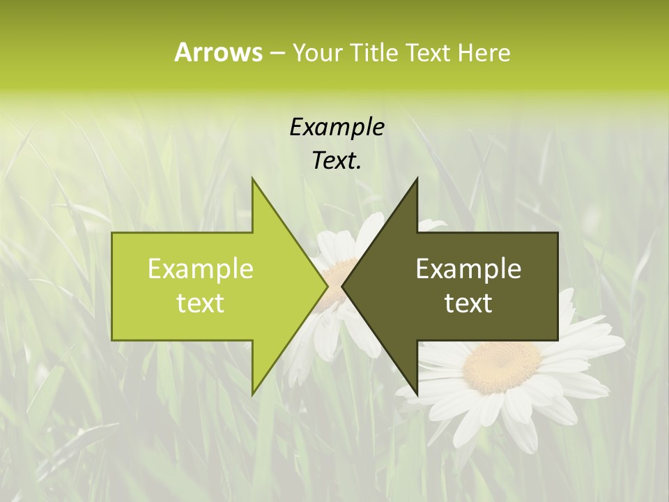 Bud Meadow Medicine PowerPoint Template