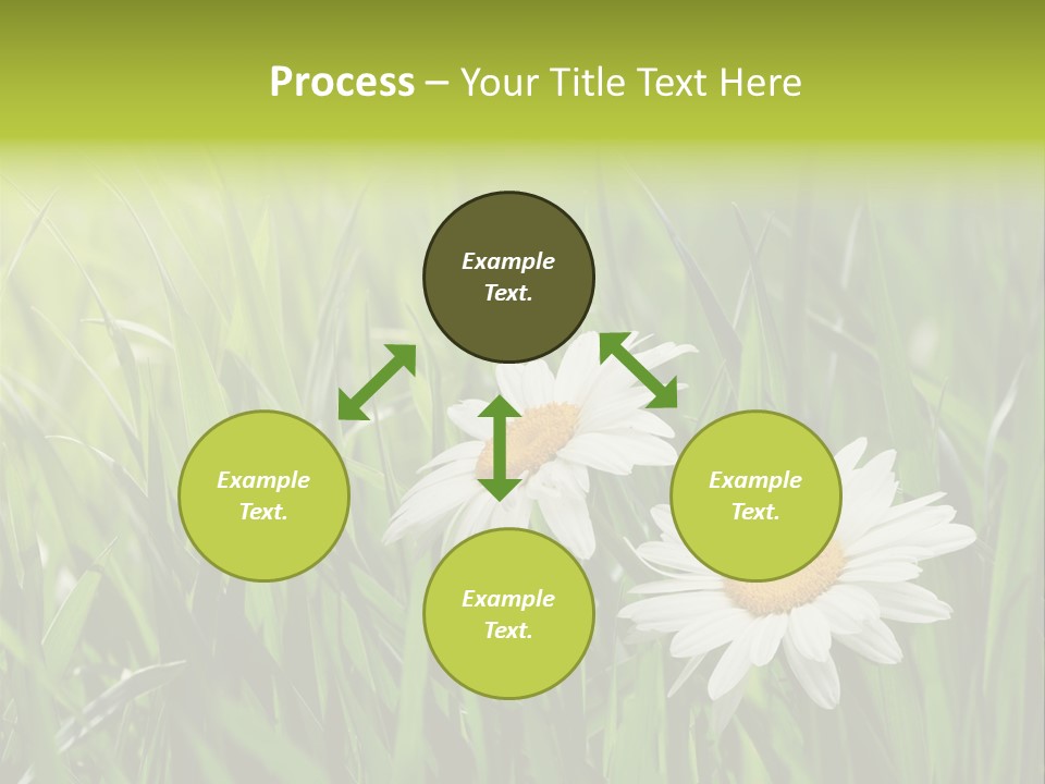 Bud Meadow Medicine PowerPoint Template