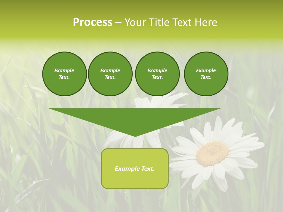 Bud Meadow Medicine PowerPoint Template