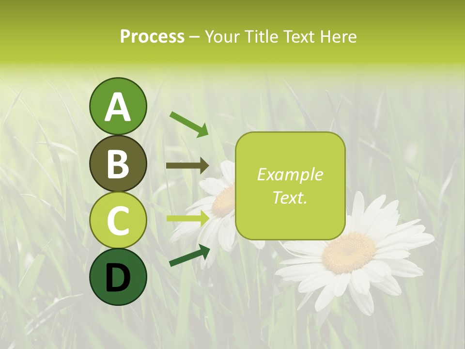 Bud Meadow Medicine PowerPoint Template