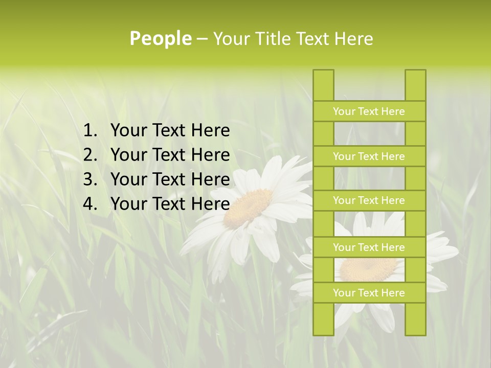 Bud Meadow Medicine PowerPoint Template