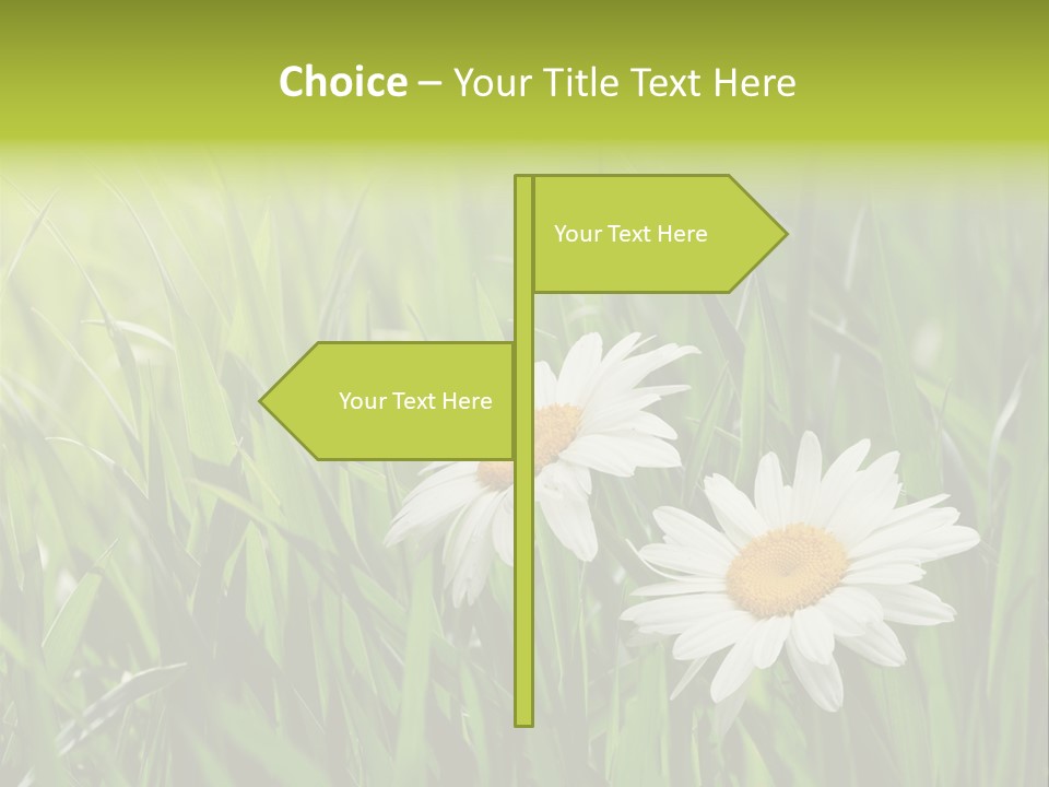 Bud Meadow Medicine PowerPoint Template