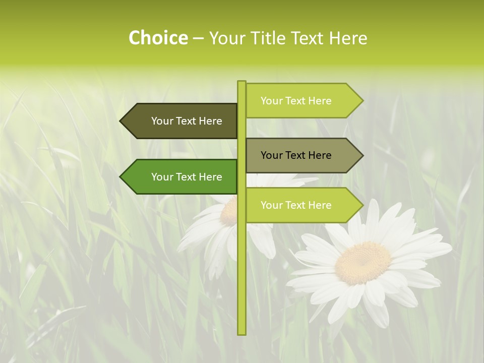 Bud Meadow Medicine PowerPoint Template
