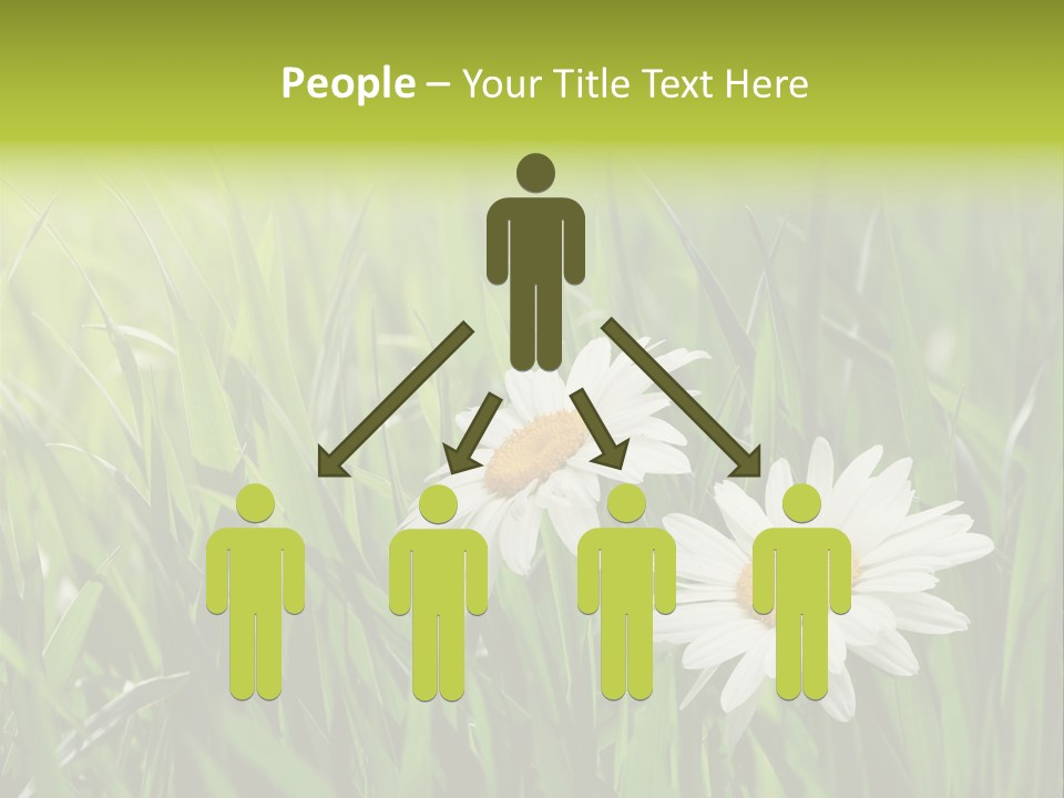 Bud Meadow Medicine PowerPoint Template