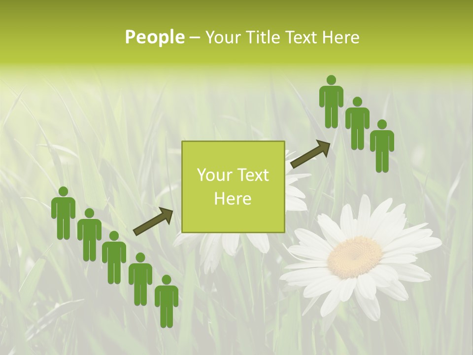 Bud Meadow Medicine PowerPoint Template