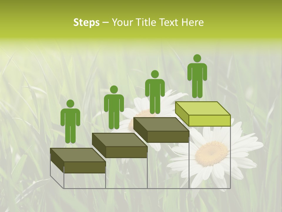 Bud Meadow Medicine PowerPoint Template