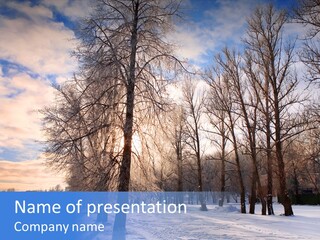 Maple Sun Covered PowerPoint Template