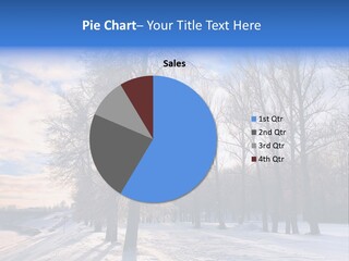 Maple Sun Covered PowerPoint Template