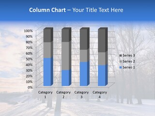 Maple Sun Covered PowerPoint Template