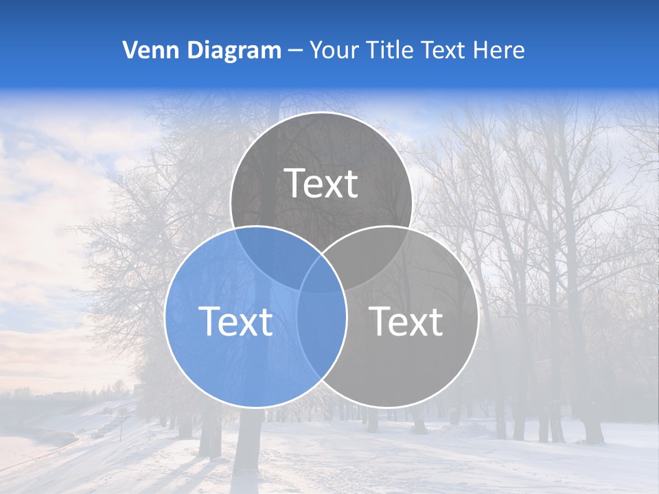 Maple Sun Covered PowerPoint Template