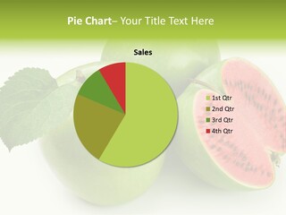 Installation Sour Gmo PowerPoint Template