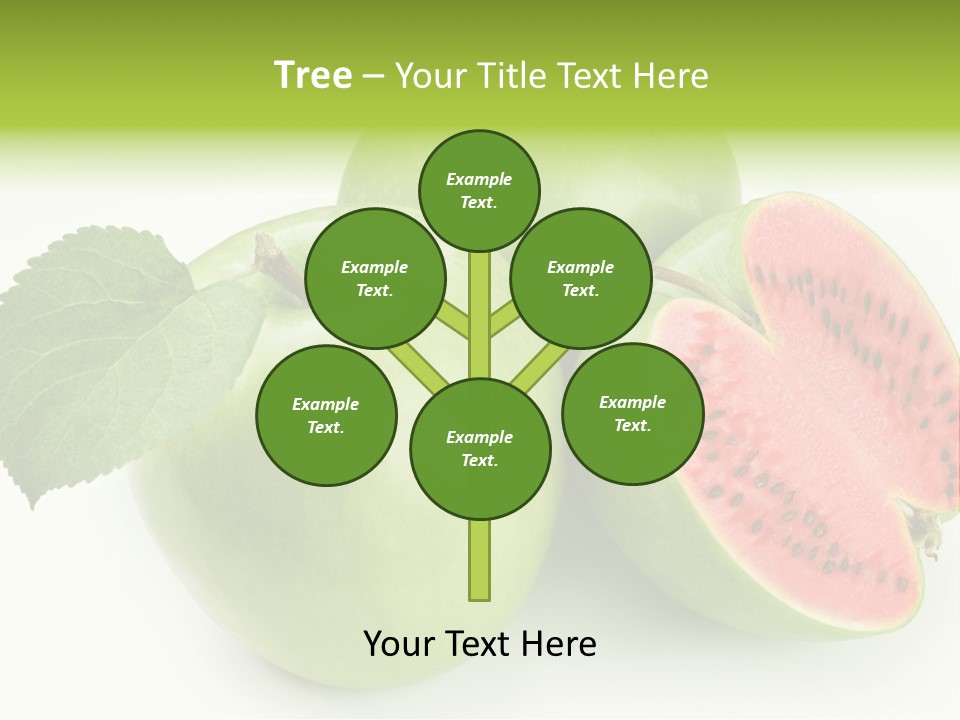 Installation Sour Gmo PowerPoint Template
