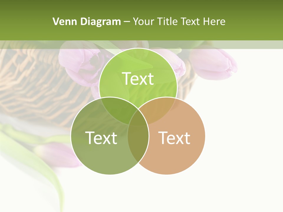 Luxury Paper Sample PowerPoint Template