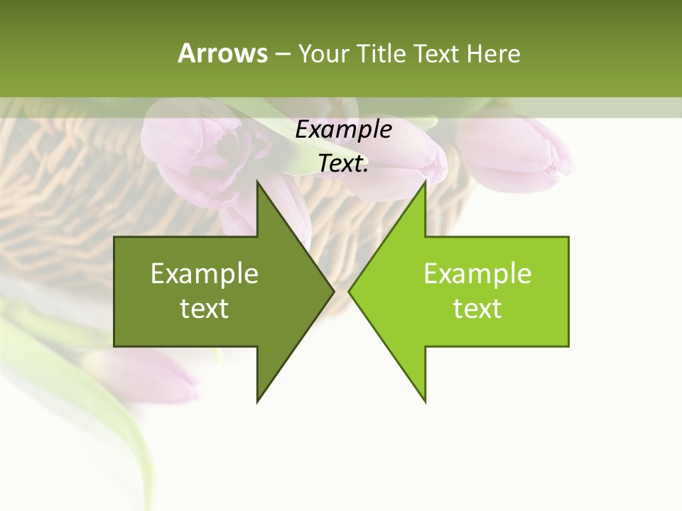 Luxury Paper Sample PowerPoint Template