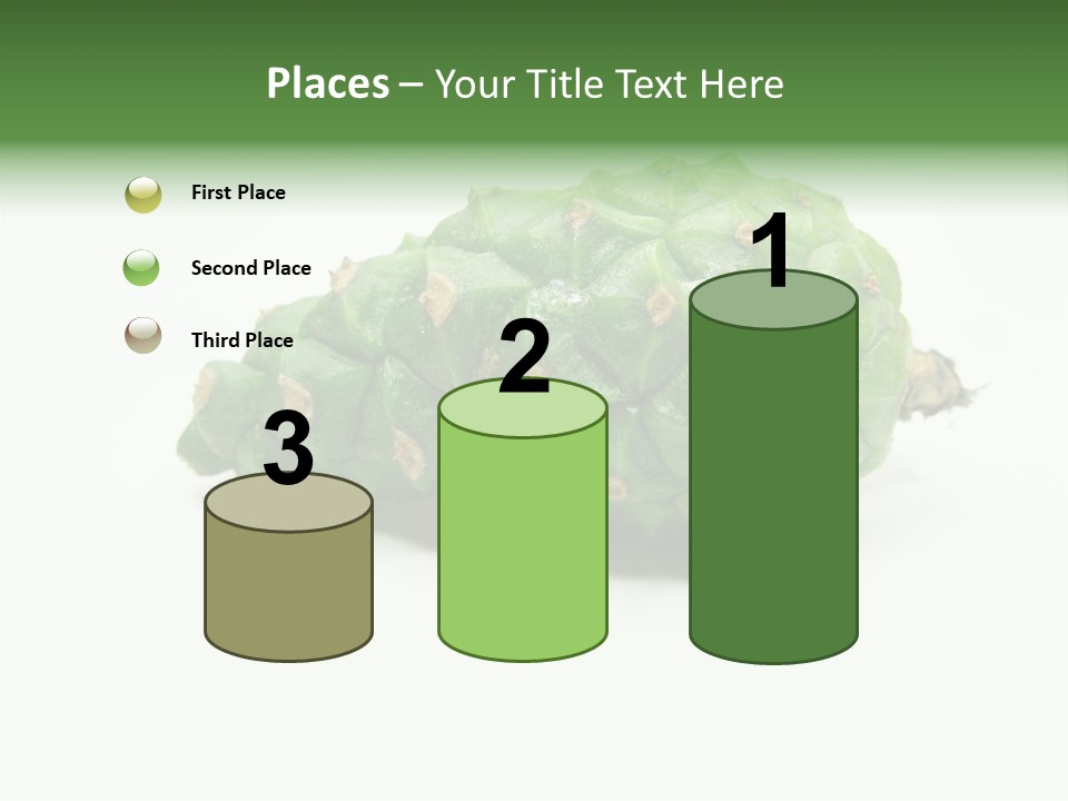 Pine Tree Spring Colour PowerPoint Template