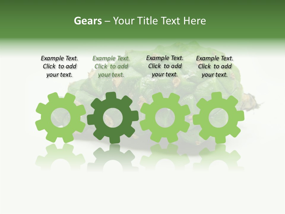 Pine Tree Spring Colour PowerPoint Template